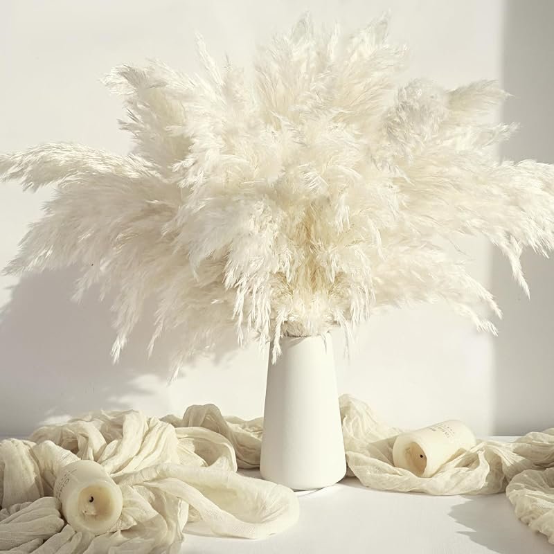 Twenty stems of white dried pampas grass in a white vase